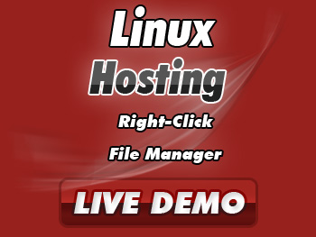Web Hosting